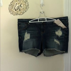 Torrid Size 18 Distressed Shorts
